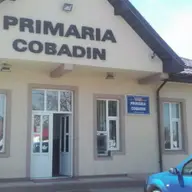 Primaria Cobadin