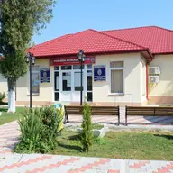 Primaria Nicolae Balcescu