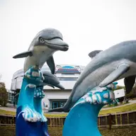 Delfinariu Constanta