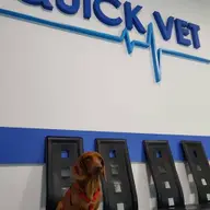 Quick Vet