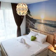 Shell Paradise Alezzi