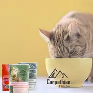 Hrană umedă pentru pisici - o mâncare delicioasă la super preț