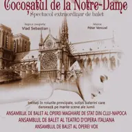 Cocosatul de la Notre Dame