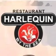 Harlequin by the Sea