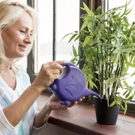 Care este cea mai bună apă pentru plantele de apartament?