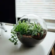 6 idei care te pot inspira să încerci ceva diferit în noul an