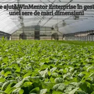 Organizarea stocurilor într-o seră modernă cu WinMentor Enterprise