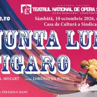 Nunta lui Figaro - Teatrul Național de Operă și Balet „Oleg Danovski” Constanța