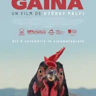 Găina