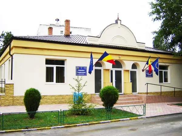 Primaria Chirnogeni