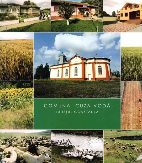 Primaria Cuza Voda