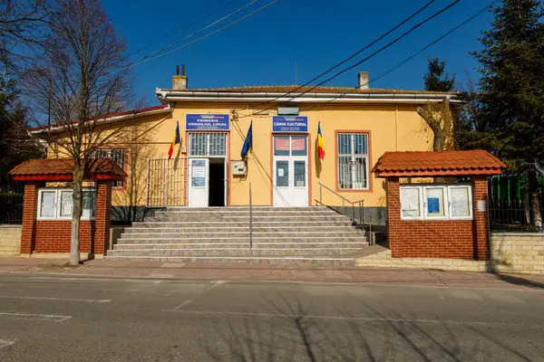 Primaria Fantanele