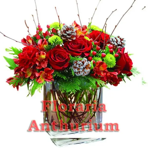 Floraria Anthurium Flowers