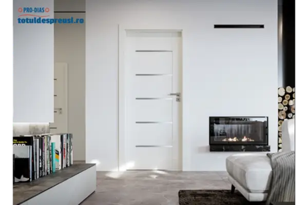 Un element de decor inedit si original pentru casa ta sunt usile de pe totuldespreusi.ro