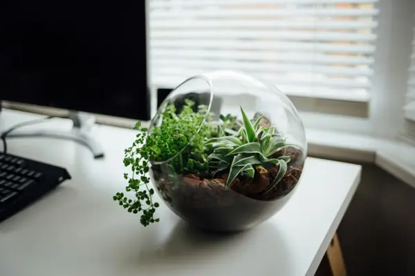 6 idei care te pot inspira să încerci ceva diferit în noul an