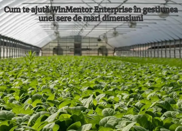 Organizarea stocurilor într-o seră modernă cu WinMentor Enterprise
