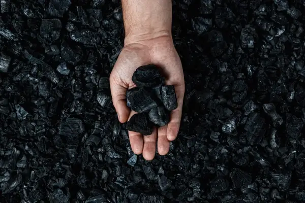 Prețul cărbunilor de foc în 2026: factorii care influențează costul combustibilului