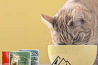 Hrană umedă pentru pisici - o mâncare delicioasă la super preț