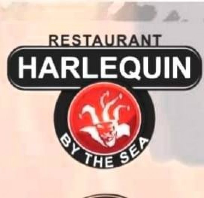 Harlequin by the Sea